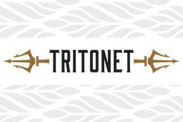 Logo: per il Blog Tritonet